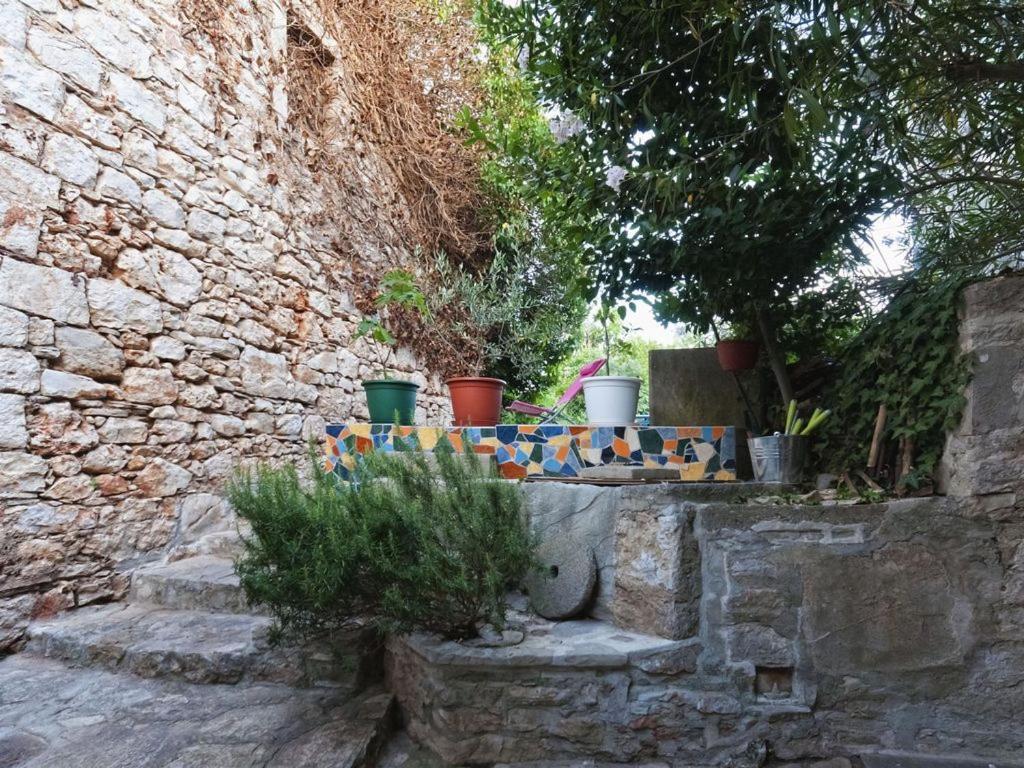 הוילה סטארי גראד 450 Year-Old House With A Garden מראה חיצוני תמונה